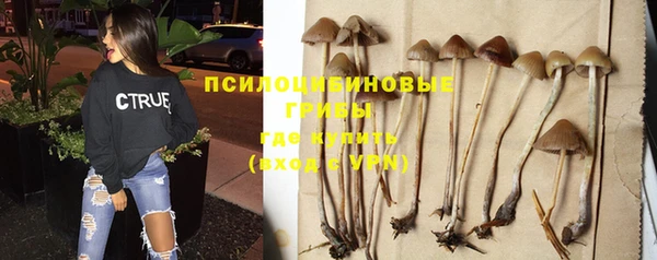 соль ск Алзамай