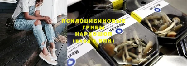 дмт Алексеевка