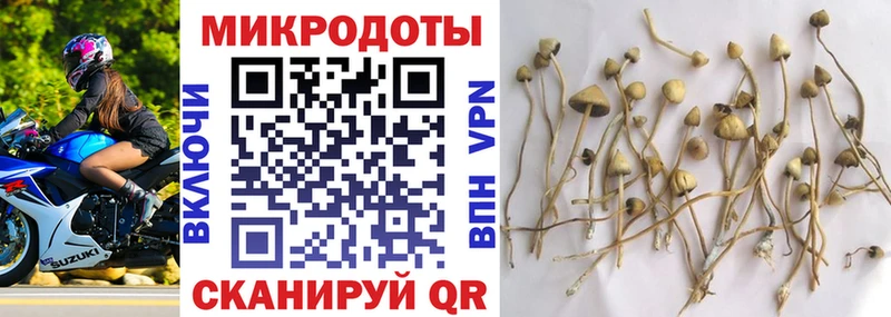 Галлюциногенные грибы Cubensis Кизел